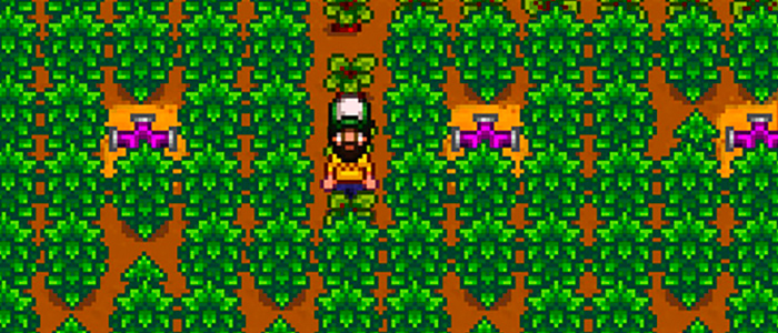 A stardew valley farmer in a trucker hat stands in their Greenhouse, surrounded by coffee plants, fruit trees, and iridium sprinklers