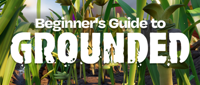 the words "Beginner's Guide to Grounded" is set in white text atop the background. Behind the text there is large blades of grass, a large axe made of stone and twigs, and a distant tree in this shrunken world.